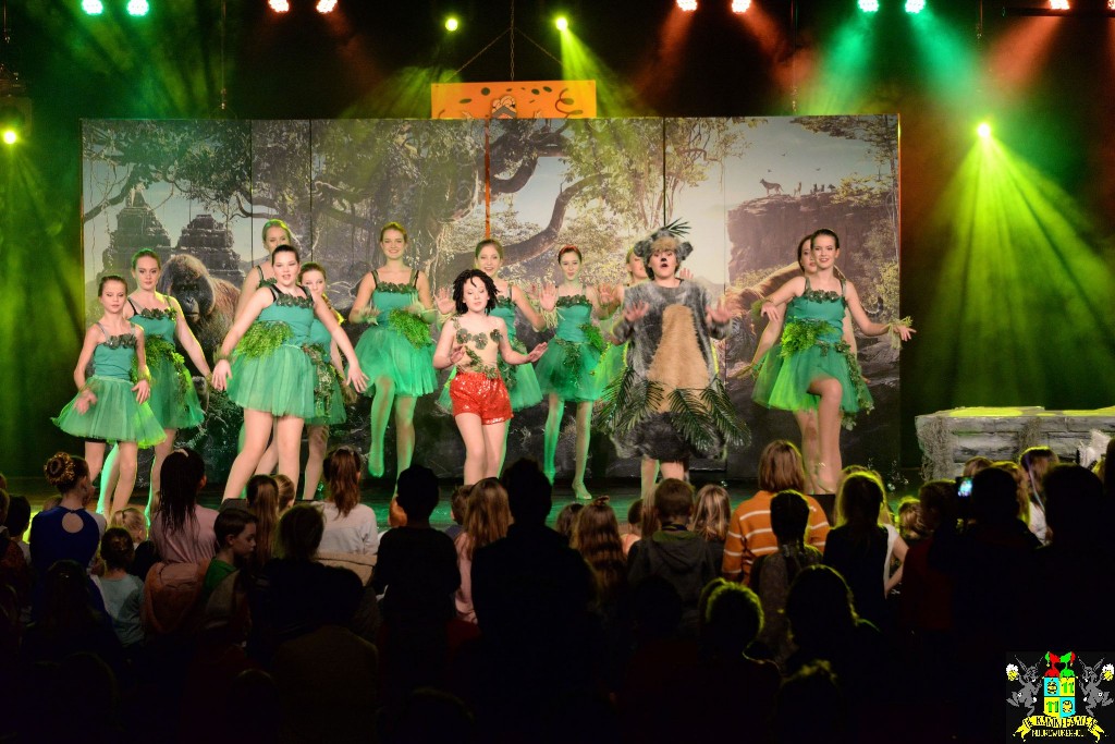 ../Images/Dansmariekefestival 2020 419.jpg